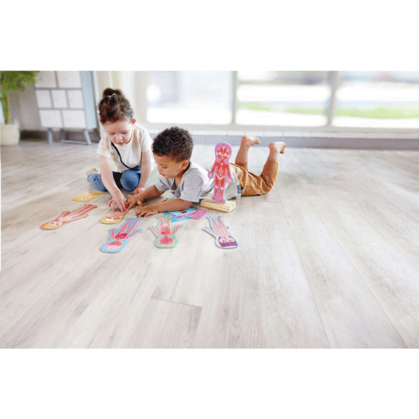 E1652_3.png Rompecabezas magnético del cuerpo humano