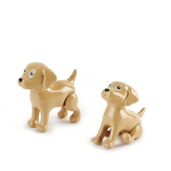 Clínica Veterinaria de amigos peludos