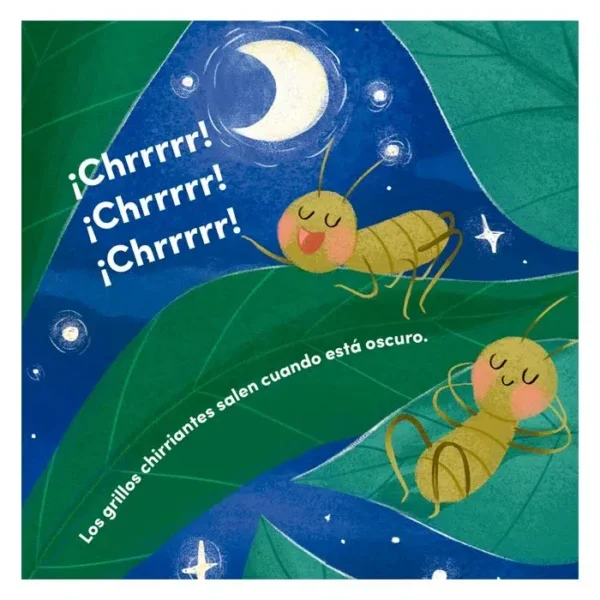 Libro Todo sobre insectos