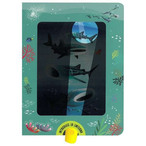 Libro busca y encuentra Linterna mágica Tiburones