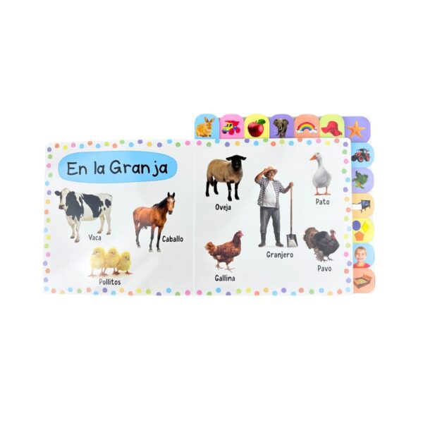 Libro mis primeras 100 palabras